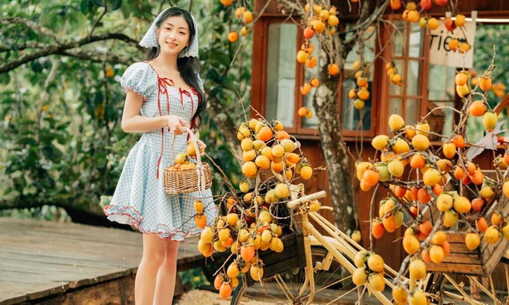thuê xe 7 chỗ hòa thành tây ninh