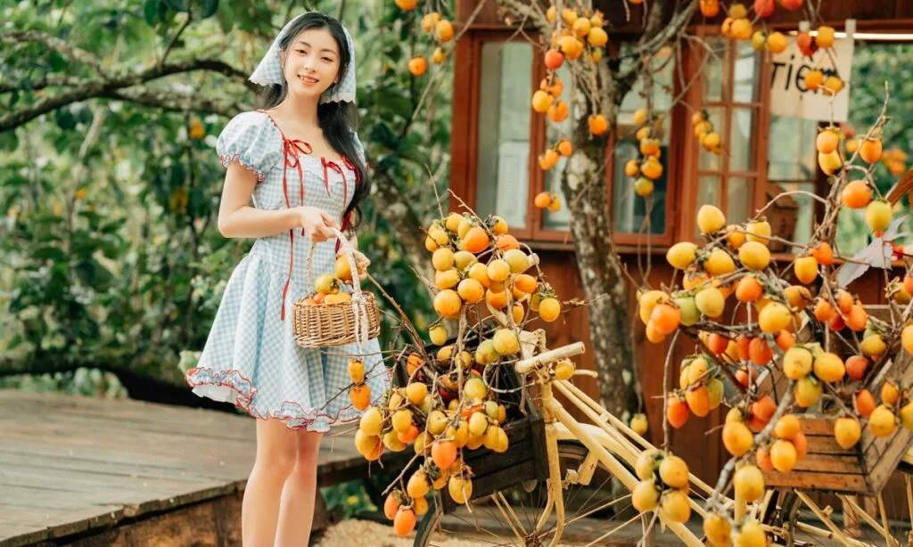 thuê xe 7 chỗ hòa thành tây ninh