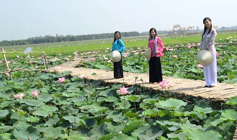 thuê xe hòa thành tây ninh đi đồng tháp